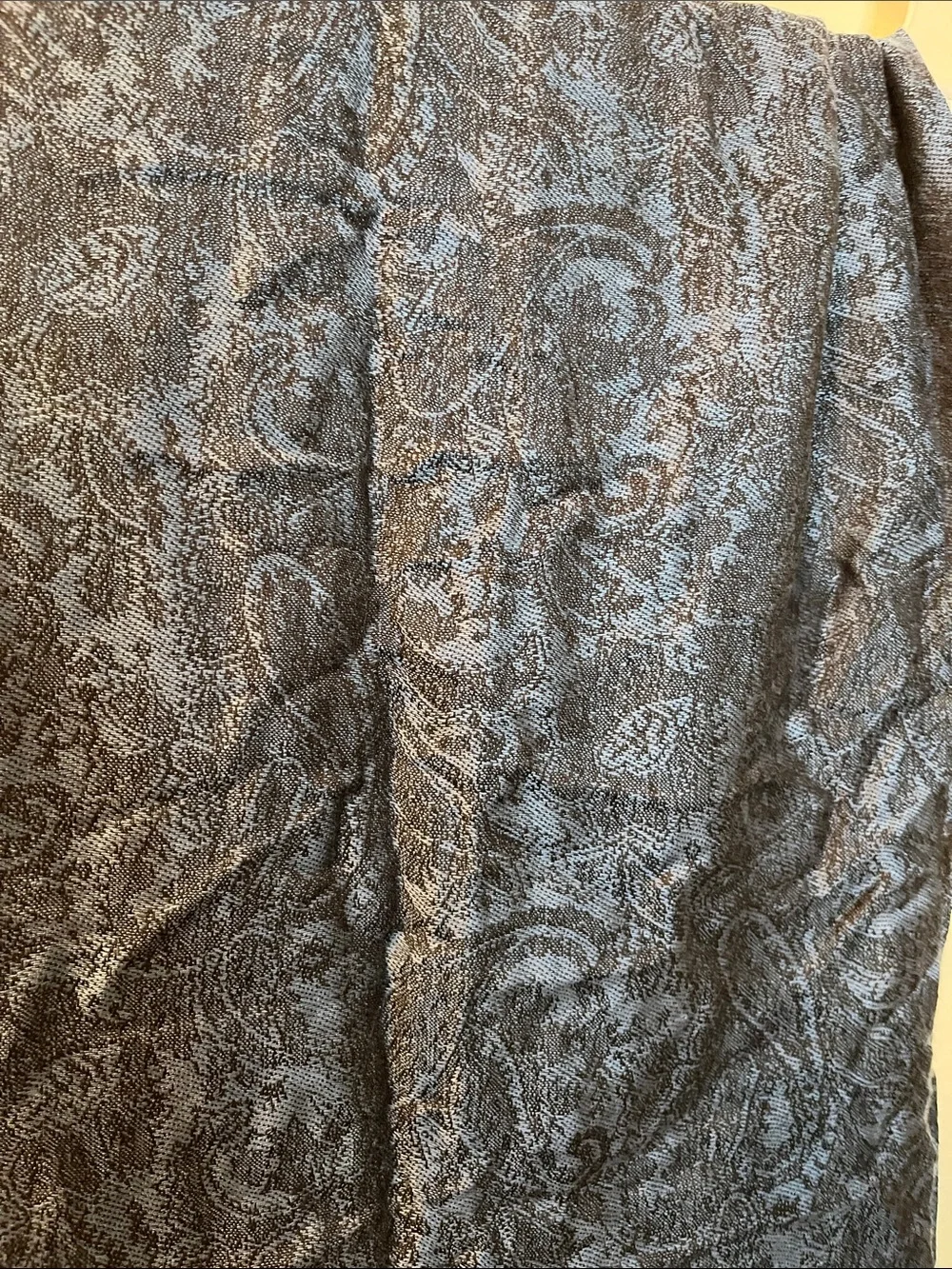 Blue Paisley Viscose Long Scarf With Fringe